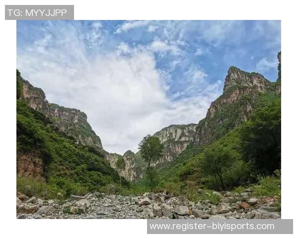 李伟独家分享篮球成功秘诀与成长故事揭秘